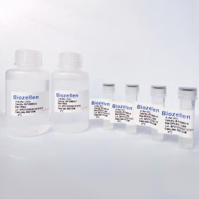 3D細胞、類器官培養試劑